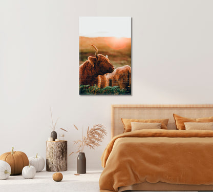 Highland Cow at Sunset Stunning Canvas Print-Canvas Print-CetArt-1 panel-16x24 inches-CetArt