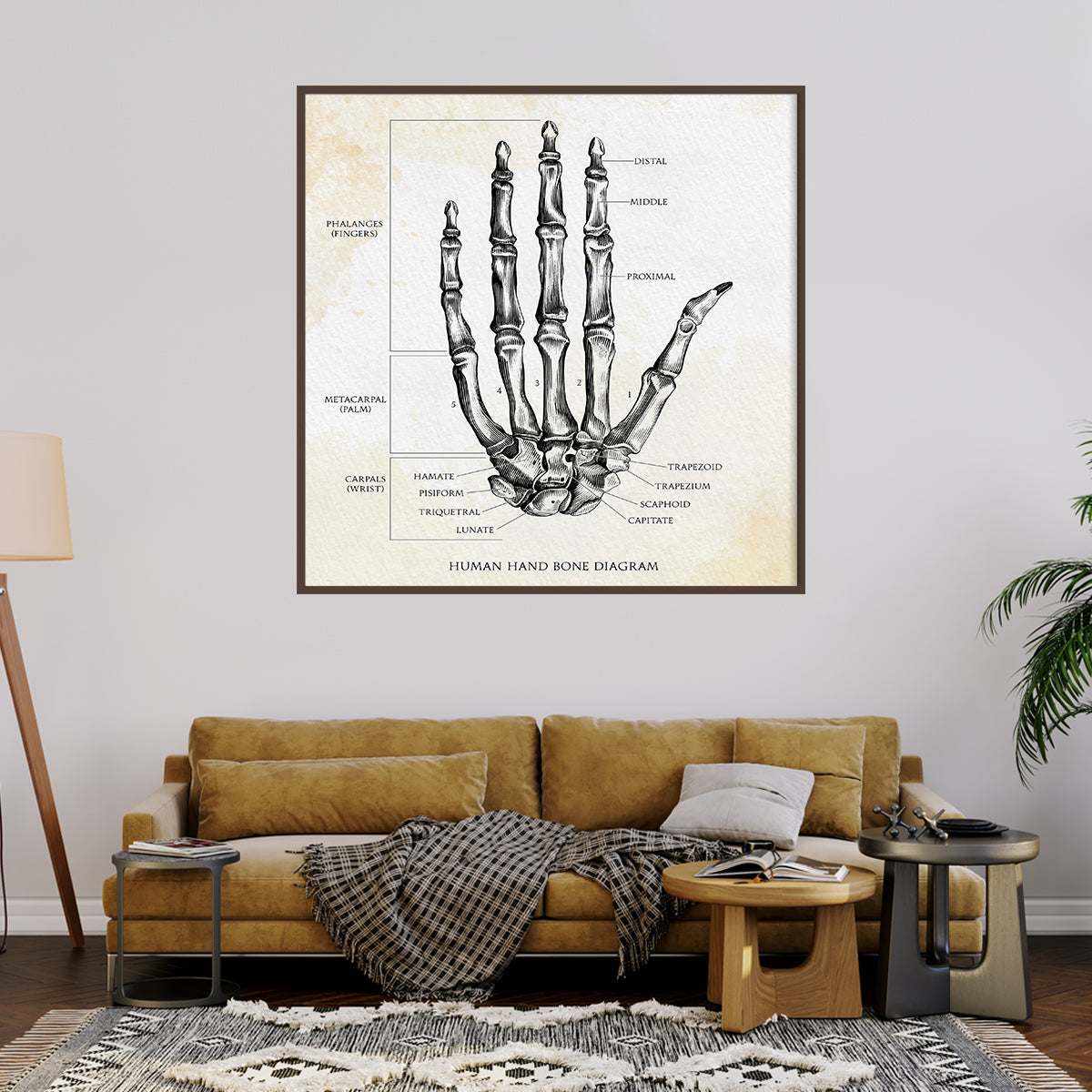 Human Hand Bone Vintage Modern Abstract Art Posters-Square Posters NOT FRAMED-CetArt-8″x8″ inches-CetArt