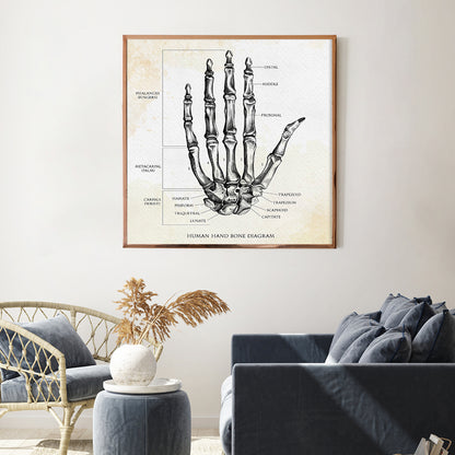 Human Hand Bone Vintage Modern Abstract Art Posters-Square Posters NOT FRAMED-CetArt-8″x8″ inches-CetArt