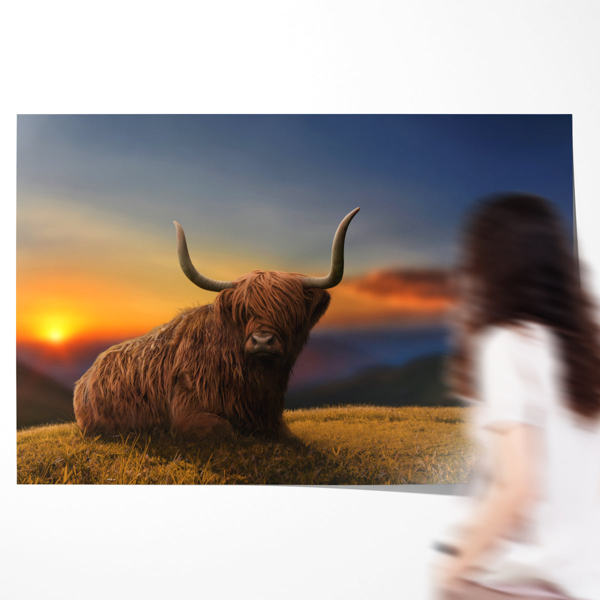Large Highland Cow Posters Decoration for Interior-Horizontal Posters NOT FRAMED-CetArt-10″x8″ inches-CetArt