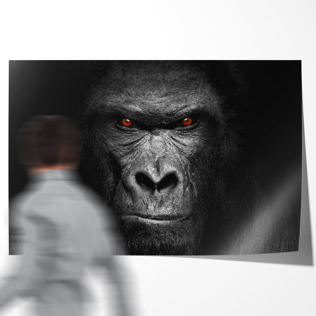 Gorilla Black White Portrait Poster For Home Decor-Horizontal Posters NOT FRAMED-CetArt-10″x8″ inches-CetArt