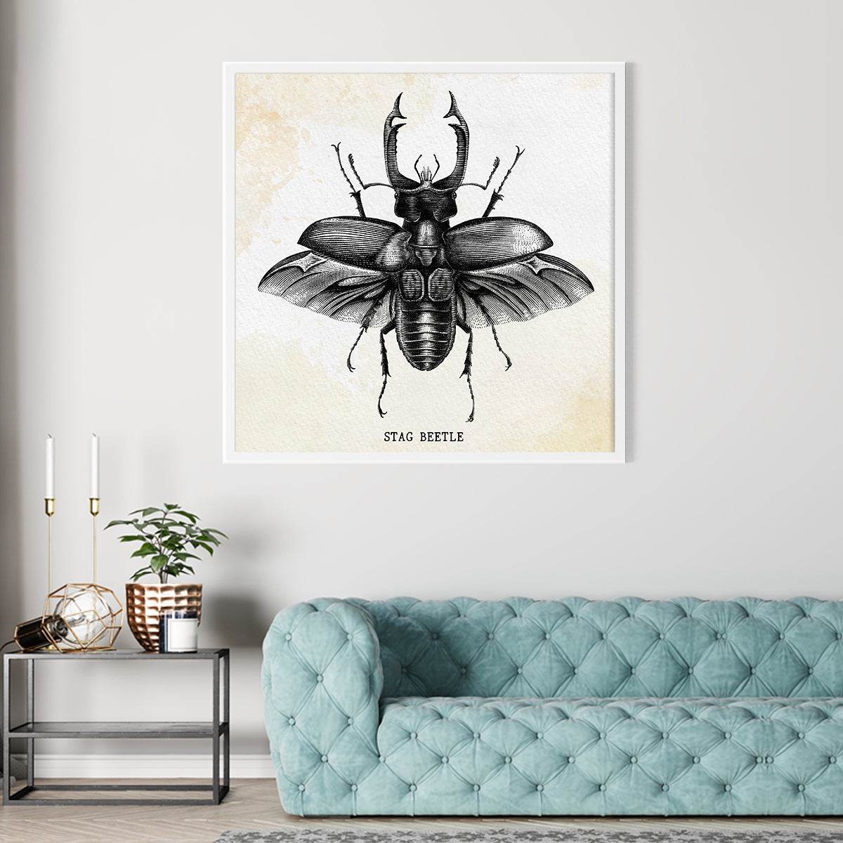 Vintage Stag Beetle Posters Prints Wall Decor-Square Posters NOT FRAMED-CetArt-8″x8″ inches-CetArt
