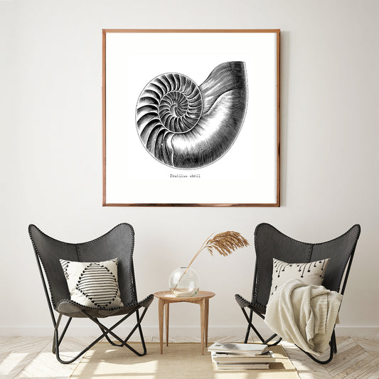 Nautilus Shell Vintage Posters For Room-Square Posters NOT FRAMED-CetArt-8″x8″ inches-CetArt