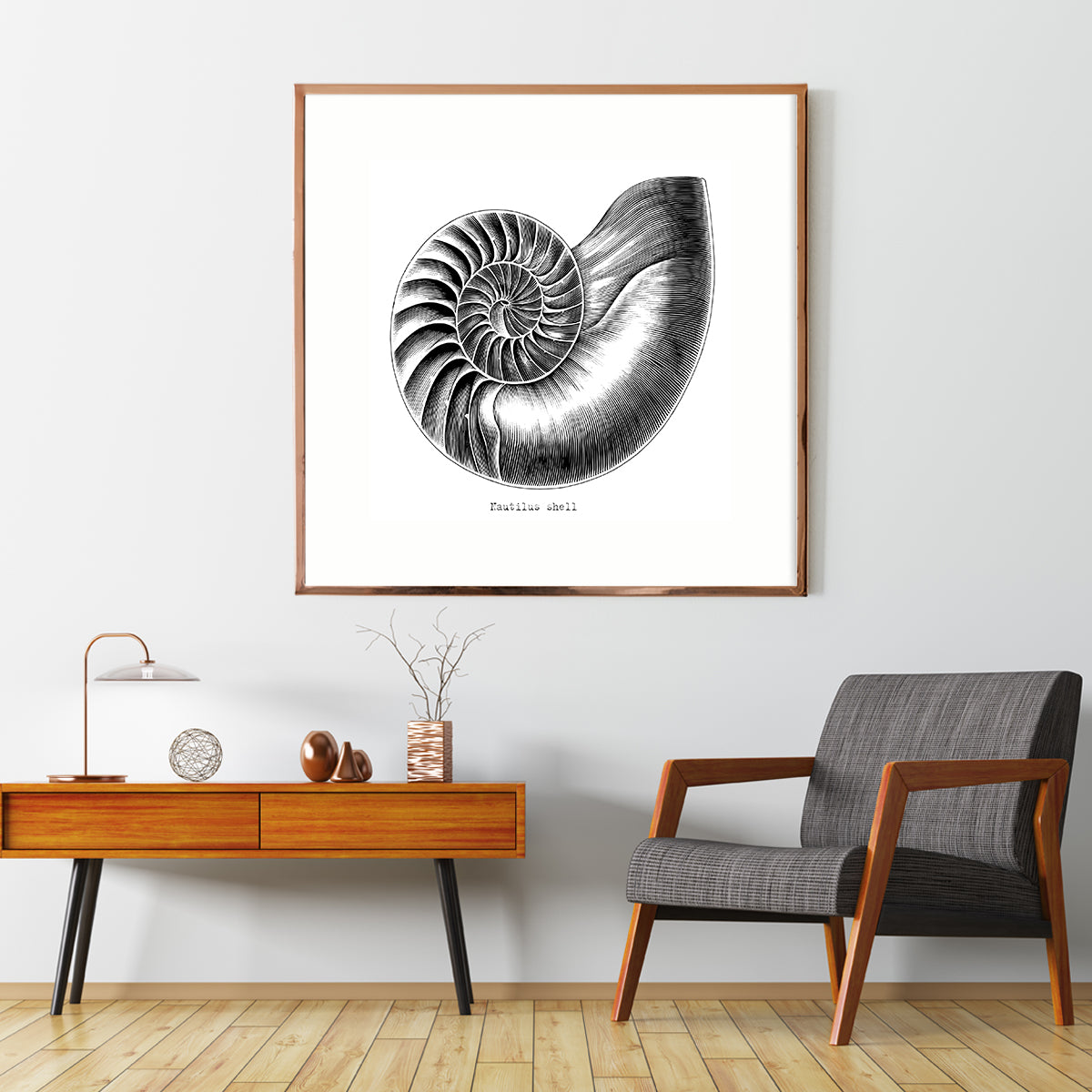 Nautilus Shell Vintage Posters For Room-Square Posters NOT FRAMED-CetArt-8″x8″ inches-CetArt