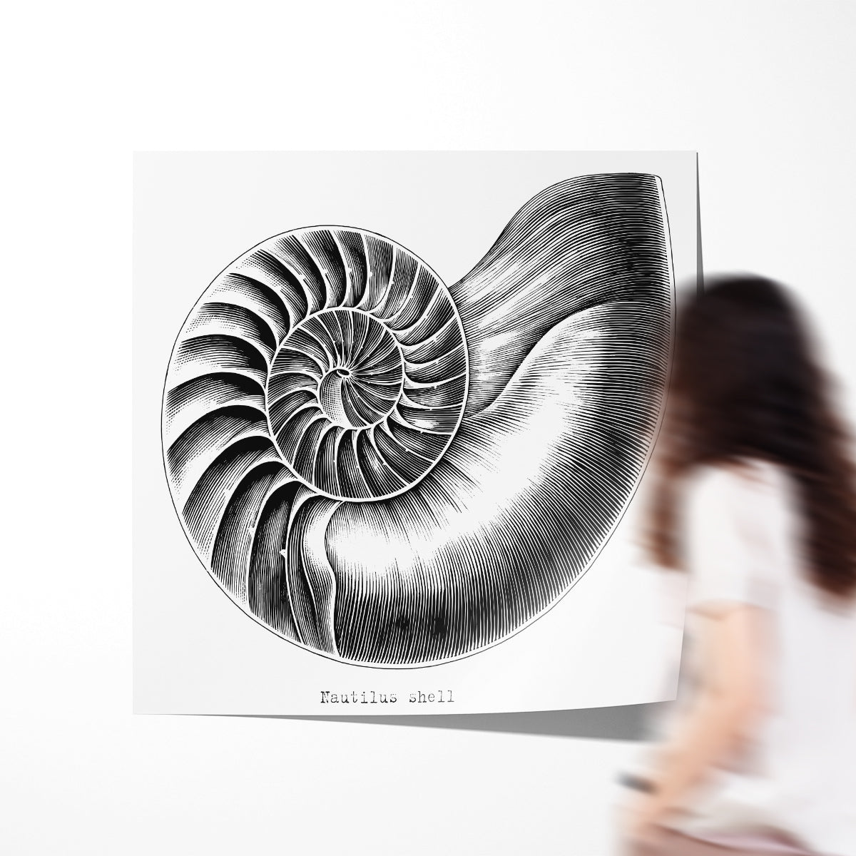 Nautilus Shell Vintage Posters For Room-Square Posters NOT FRAMED-CetArt-8″x8″ inches-CetArt