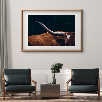 Highland Cow Silhouette Poster Wall Decor-Horizontal Posters NOT FRAMED-CetArt-10″x8″ inches-CetArt
