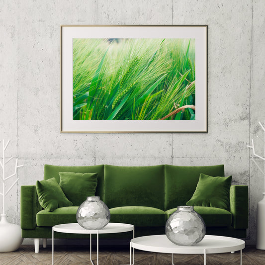 Fresh Green Barley Posters Prints Botanical Wall Art-Horizontal Posters NOT FRAMED-CetArt-10″x8″ inches-CetArt