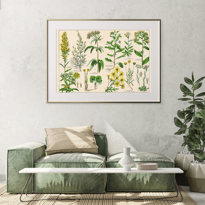 Antique Botanical Prints Posters Wall Art-Horizontal Posters NOT FRAMED-CetArt-10″x8″ inches-CetArt