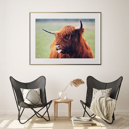 Highland Bull Poster Printing-Horizontal Posters NOT FRAMED-CetArt-10″x8″ inches-CetArt