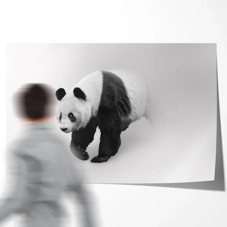Panda bear black and white art poster
