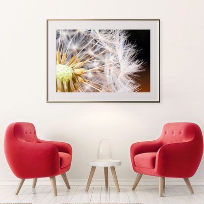 Macro Dandelion Seeds Posters For Living Room-Horizontal Posters NOT FRAMED-CetArt-10″x8″ inches-CetArt