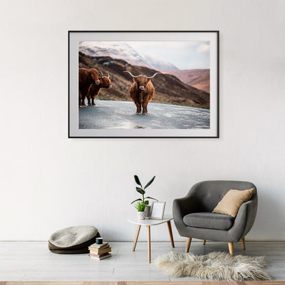 Scottish Highland Cow Posters For Room-Horizontal Posters NOT FRAMED-CetArt-10″x8″ inches-CetArt