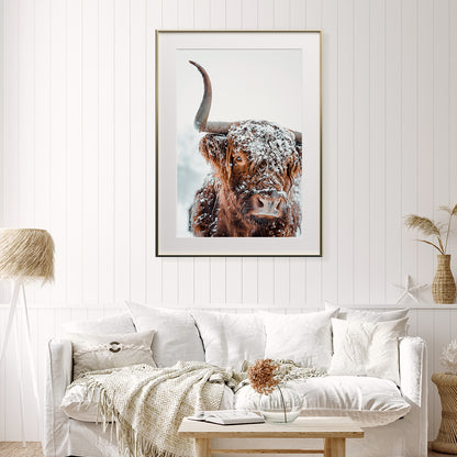 Scottish Highland Cow in Winter Posters Art Prints For Your Wall-Vertical Posters NOT FRAMED-CetArt-8″x10″ inches-CetArt