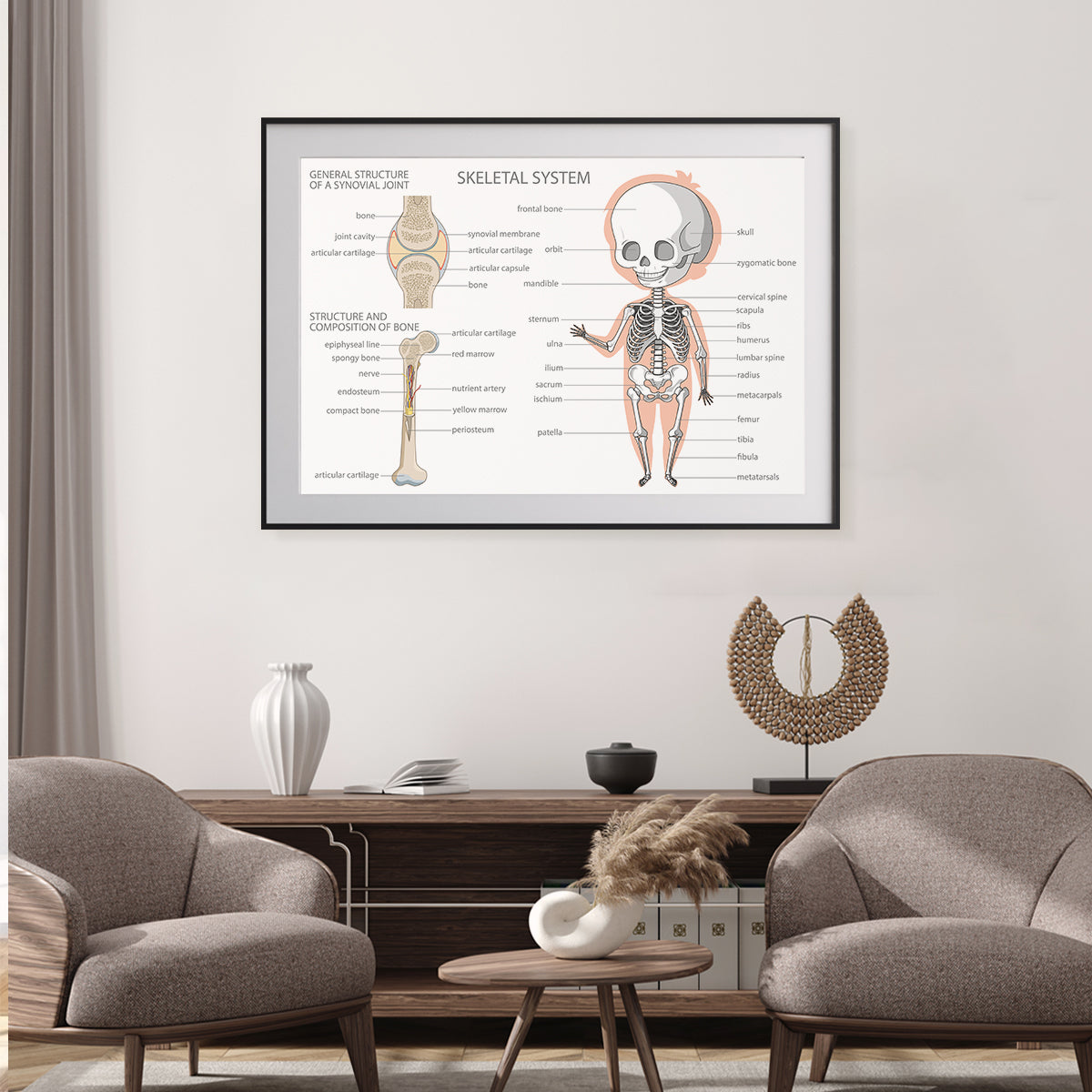 Human Skeleton Anatomy Posters Decoration for Interior-Horizontal Posters NOT FRAMED-CetArt-10″x8″ inches-CetArt