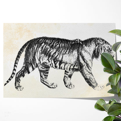 Vintage Tiger Art Posters For Home Decor-Horizontal Posters NOT FRAMED-CetArt-10″x8″ inches-CetArt