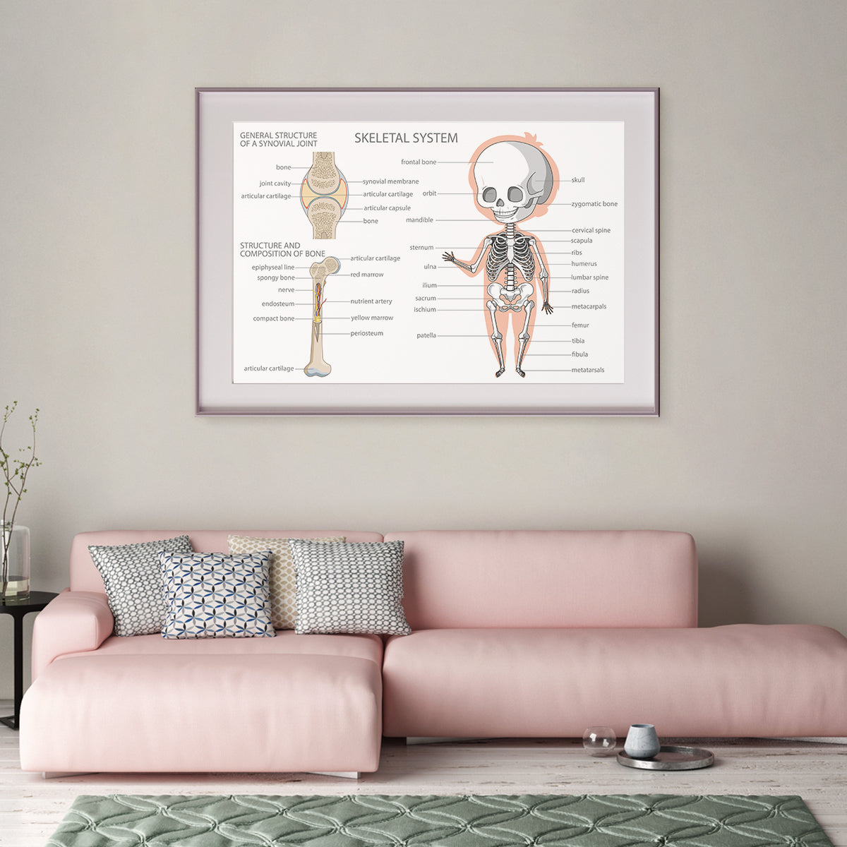 Human Skeleton Anatomy Posters Decoration for Interior-Horizontal Posters NOT FRAMED-CetArt-10″x8″ inches-CetArt
