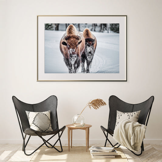 Bison in Winter Room Posters Wall Art-Horizontal Posters NOT FRAMED-CetArt-10″x8″ inches-CetArt