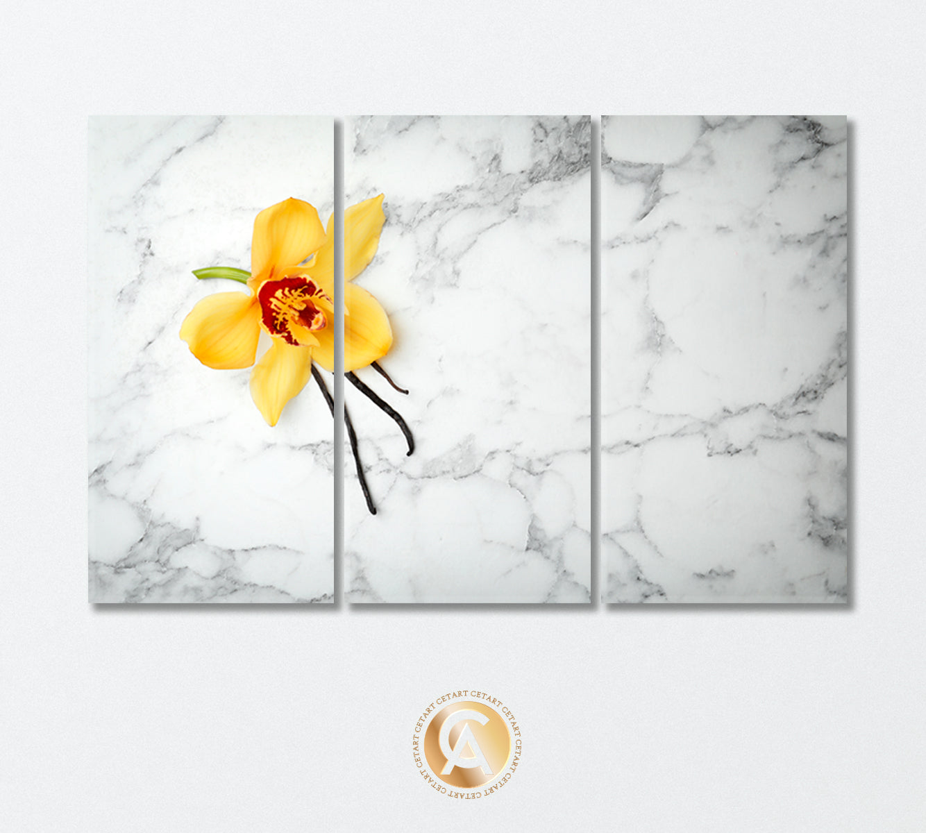 Tender Vanilla Flower Canvas Print-Canvas Print-CetArt-3 Panels-36x24 inches-CetArt